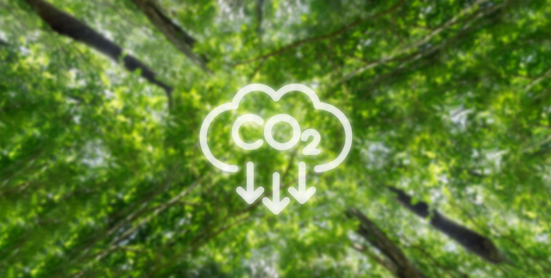  CO₂ Emissions