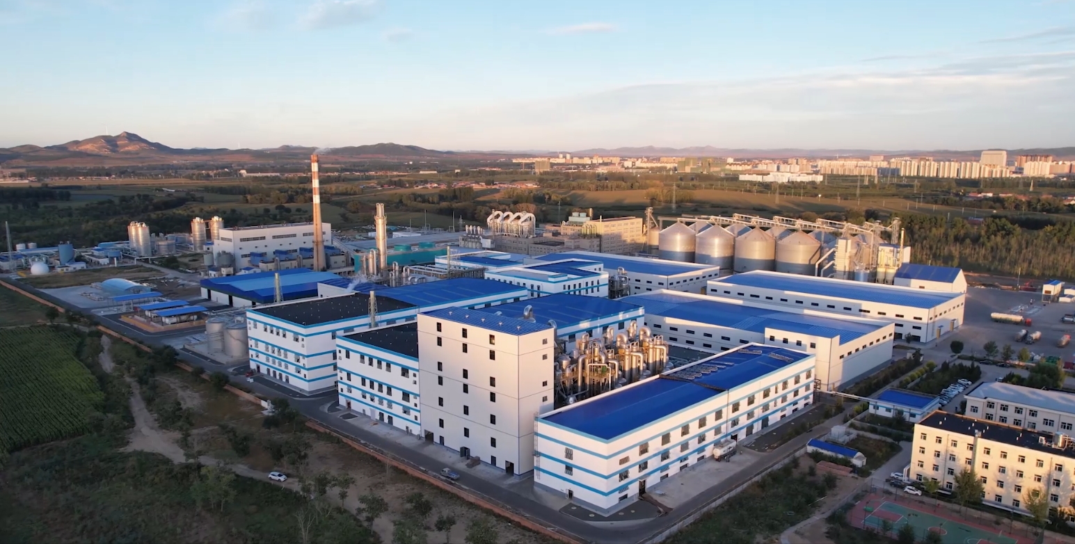 Chifeng Site