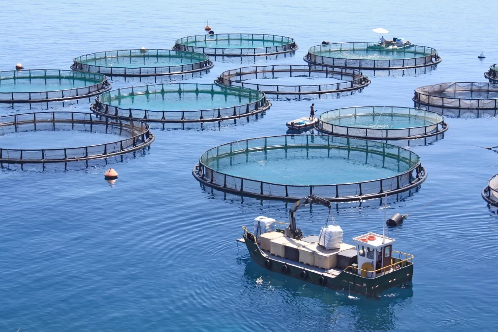 Application of inositol in aquaculture: the key to improving health and benefits